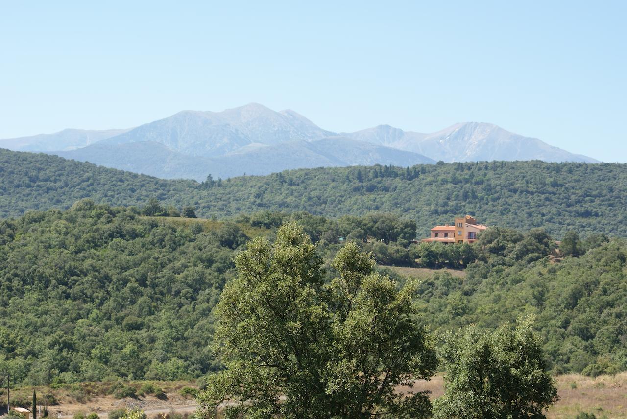 مبيت وإفطار Céret Mas La Marchette المظهر الخارجي الصورة