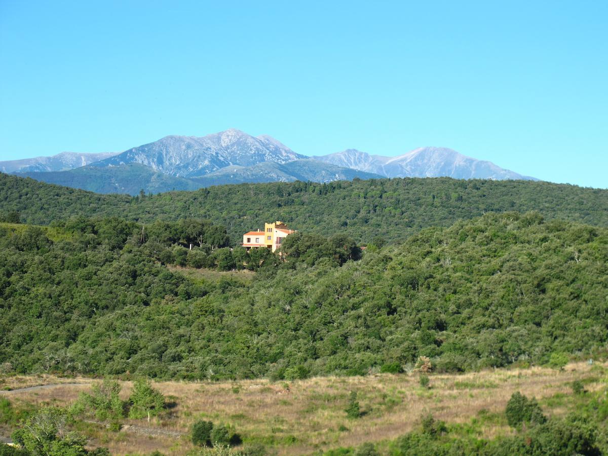 مبيت وإفطار Céret Mas La Marchette المظهر الخارجي الصورة